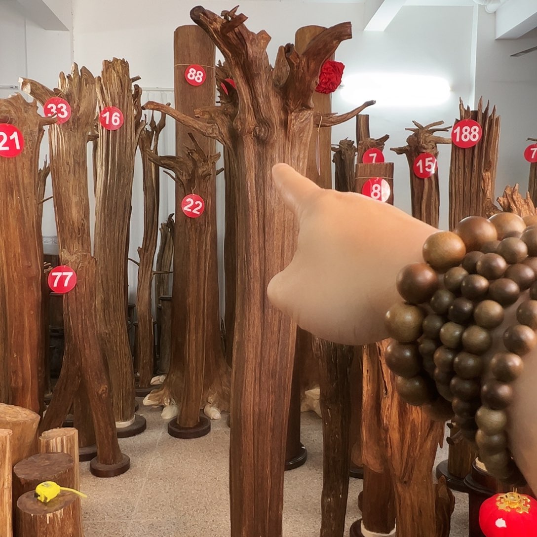 A***物沉香摆件沉香原料6