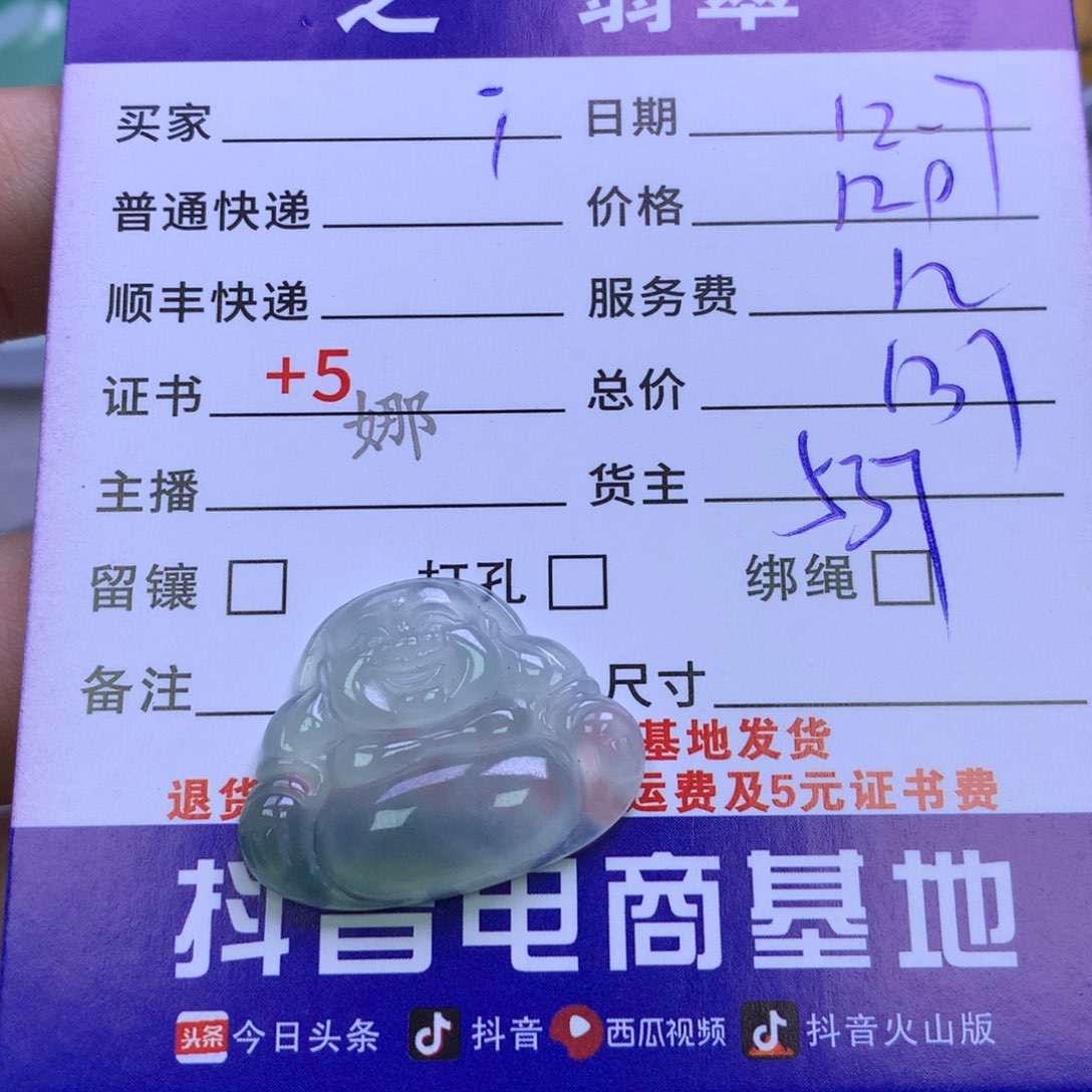 颈饰未镶嵌翡翠i