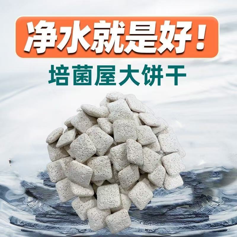 鱼缸过滤培菌优质大饼干