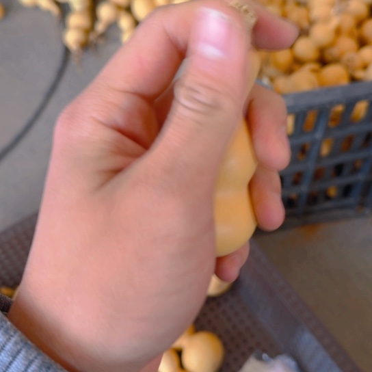 劉*生1111111111111111111