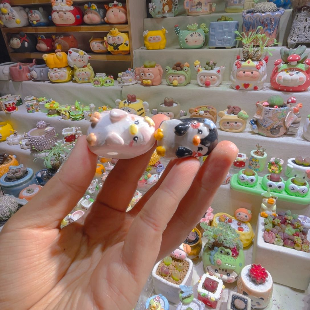 s*xs宝专属链接拍拍