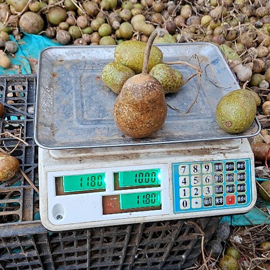 举***子花皮葫芦1斤装花皮葫芦