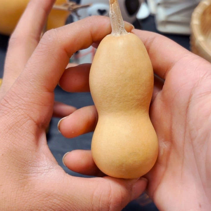 阑*?988888888888888888888