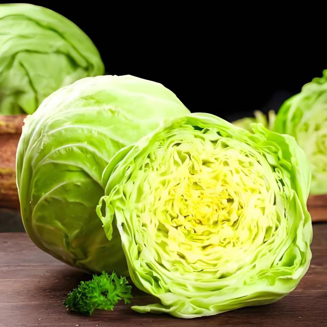 甘肃新鲜绿甘蓝露天种植包心菜手撕包菜清炒凉拌时令蔬菜5-9斤