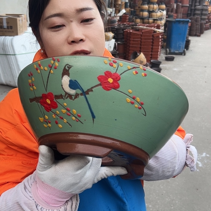 绿斗盆点彩大花盆等多种