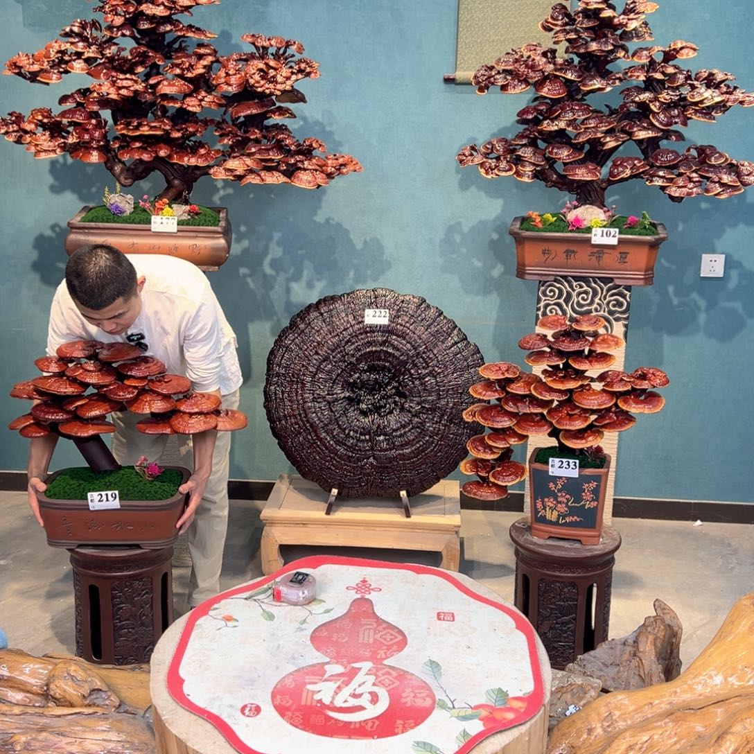 无花朵88888888888