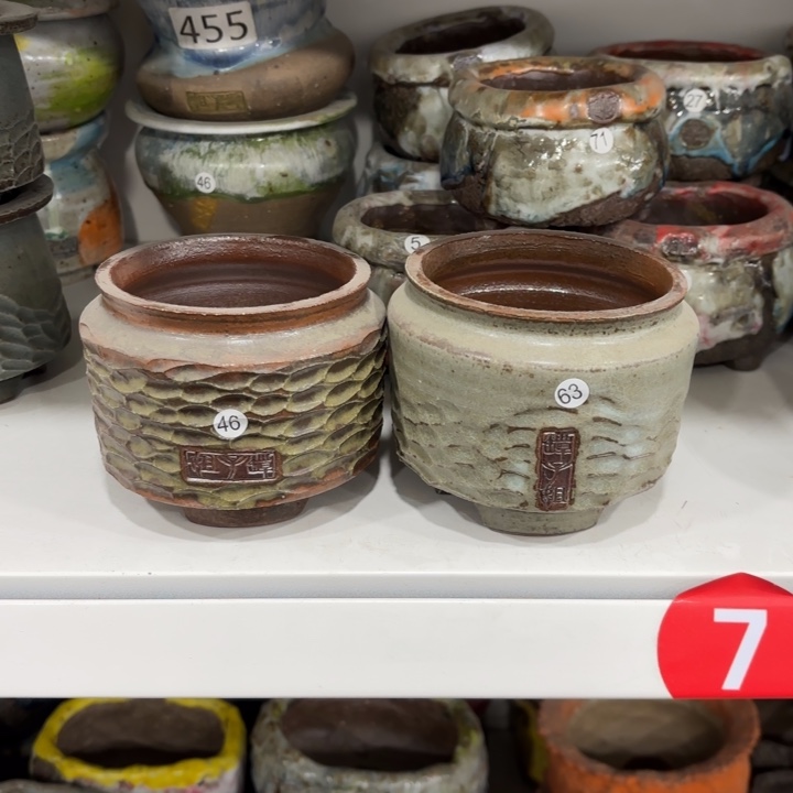 9***阳内口8高8.5左右，2个