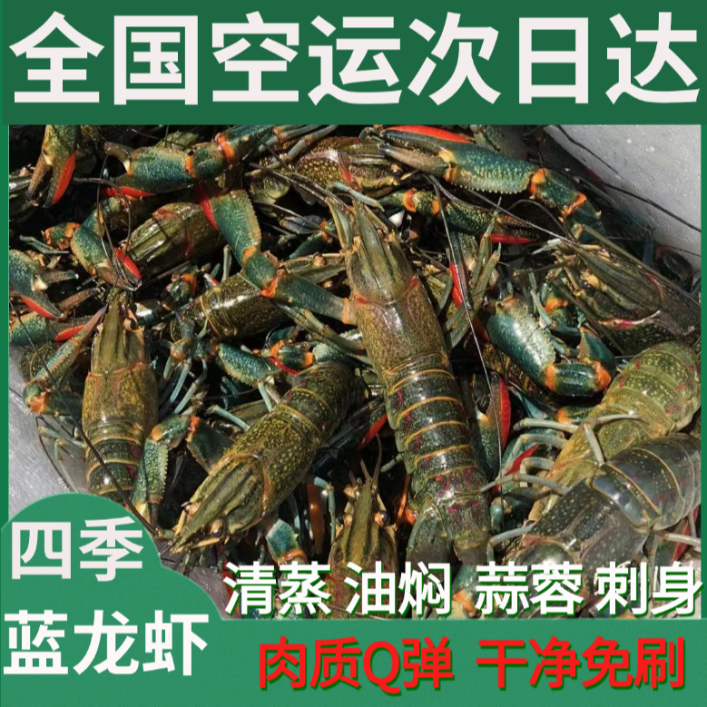 特价福利，超大澳洲蓝龙虾，24小时到货，包肥好吃，顺丰空运