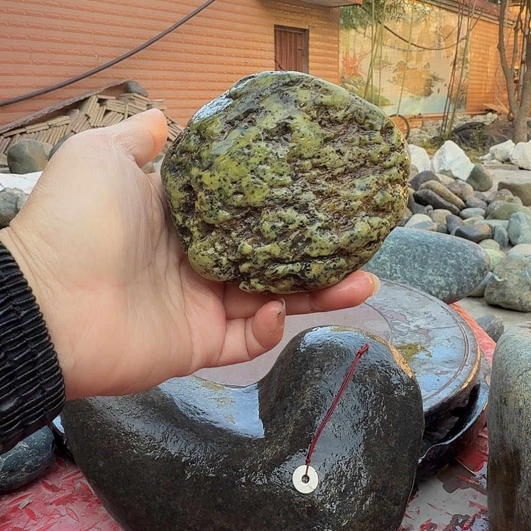 哈***喽蛇纹石玉未镶嵌天然原石摆件藏玉西藏