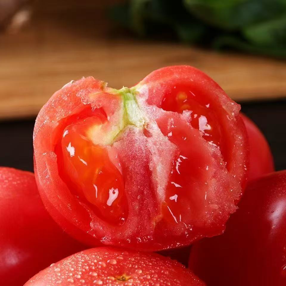 【5斤装】农家沙瓤西红柿番茄蔬菜现摘自然熟生吃粉番茄Z【a】