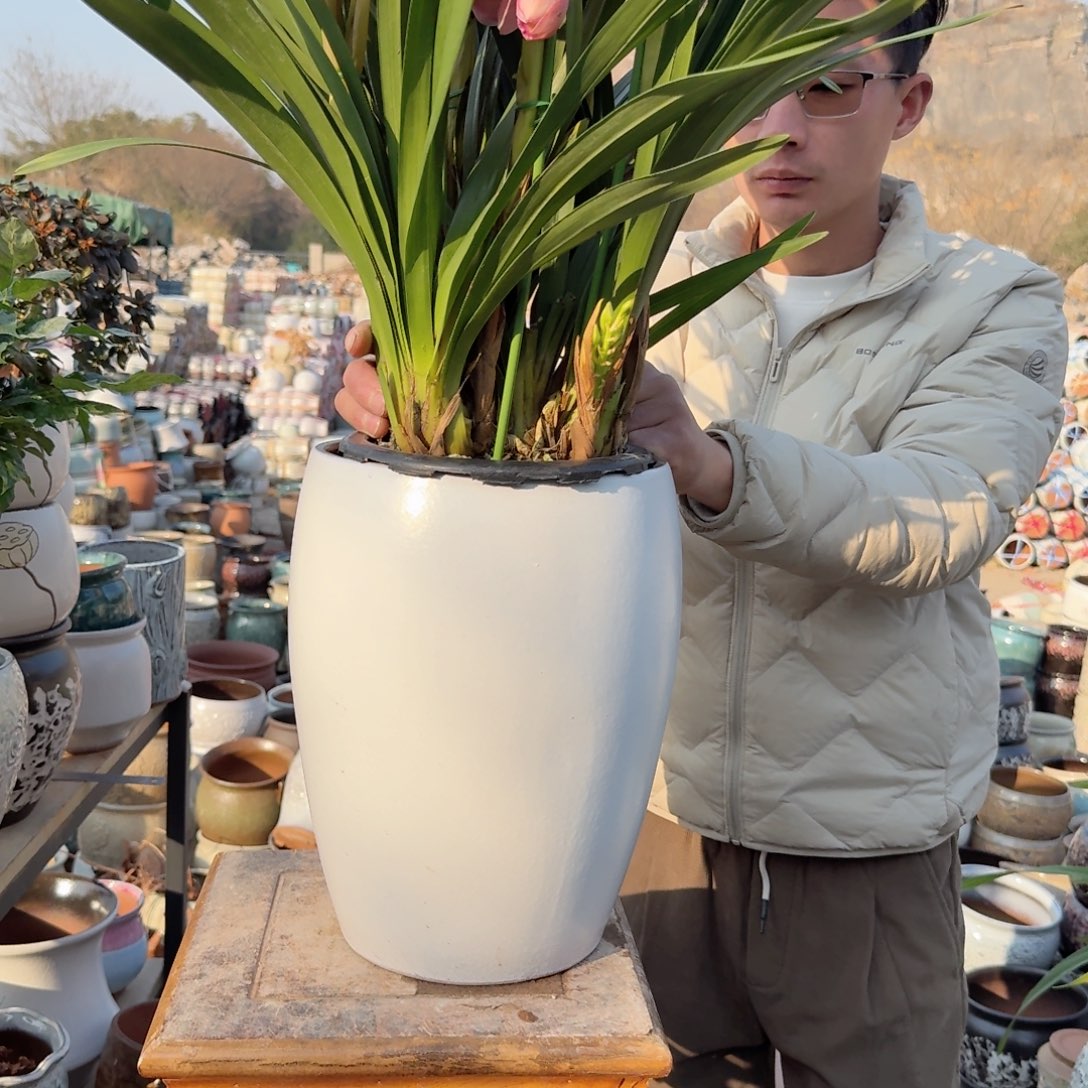 紫砂花盆口22.5高33（一个大号蛋壳白色宋