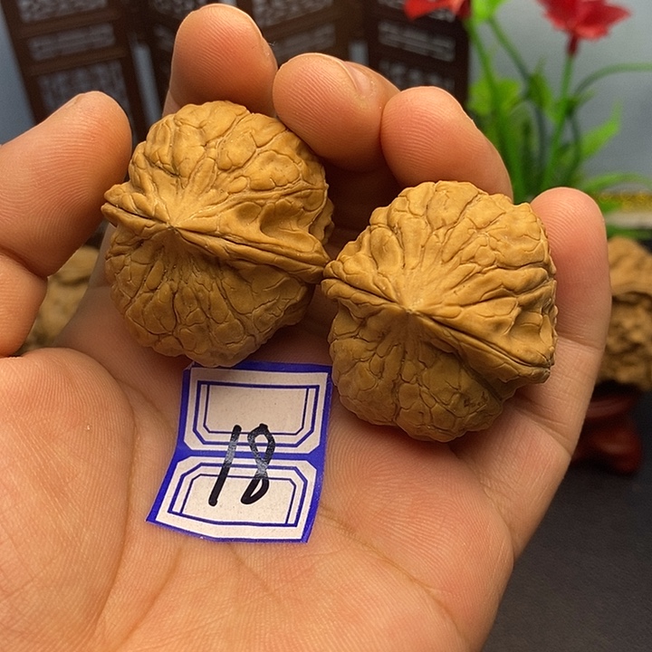 文玩核桃把件33龟甲纹