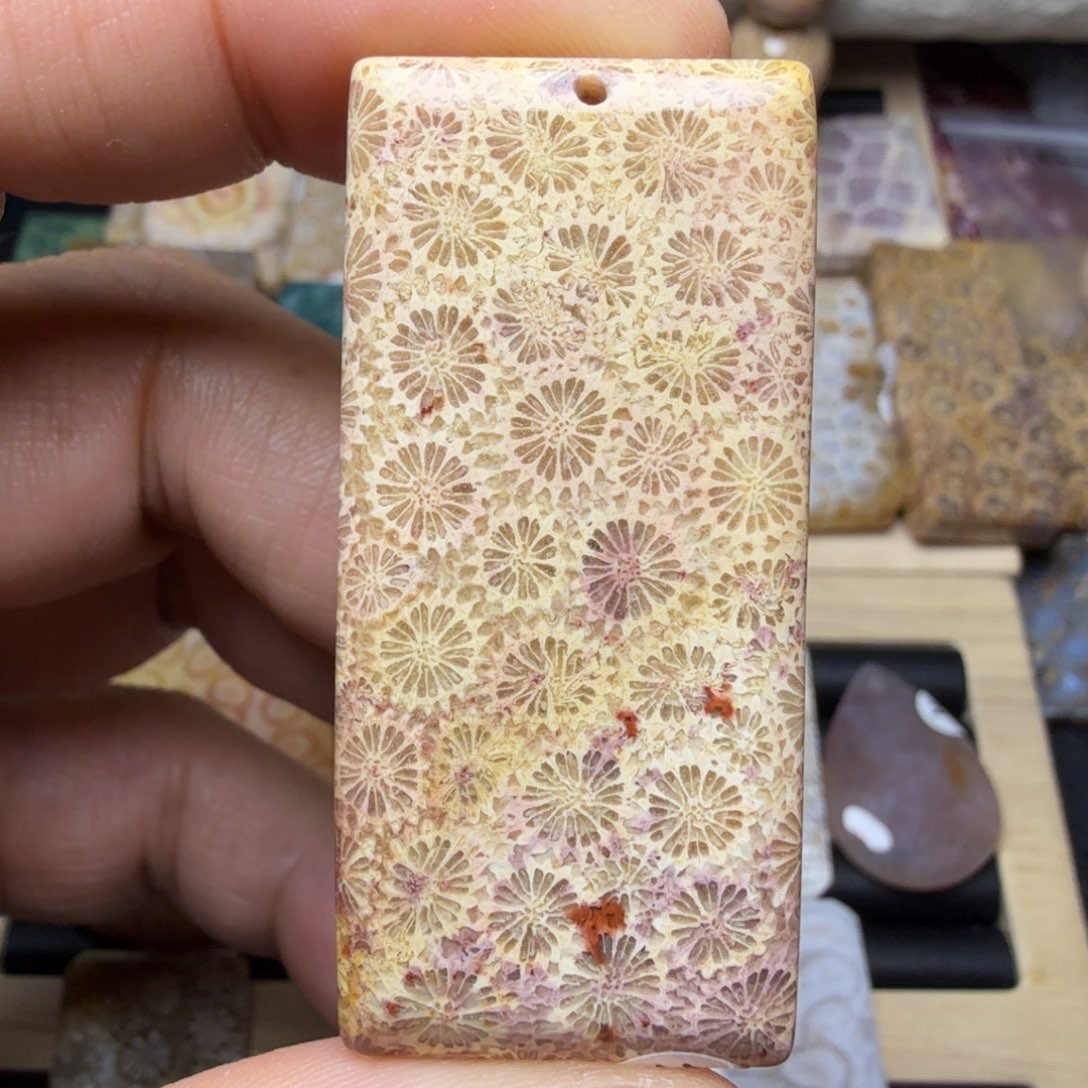 硅化玉未镶嵌纯天然色有机玉石保真色