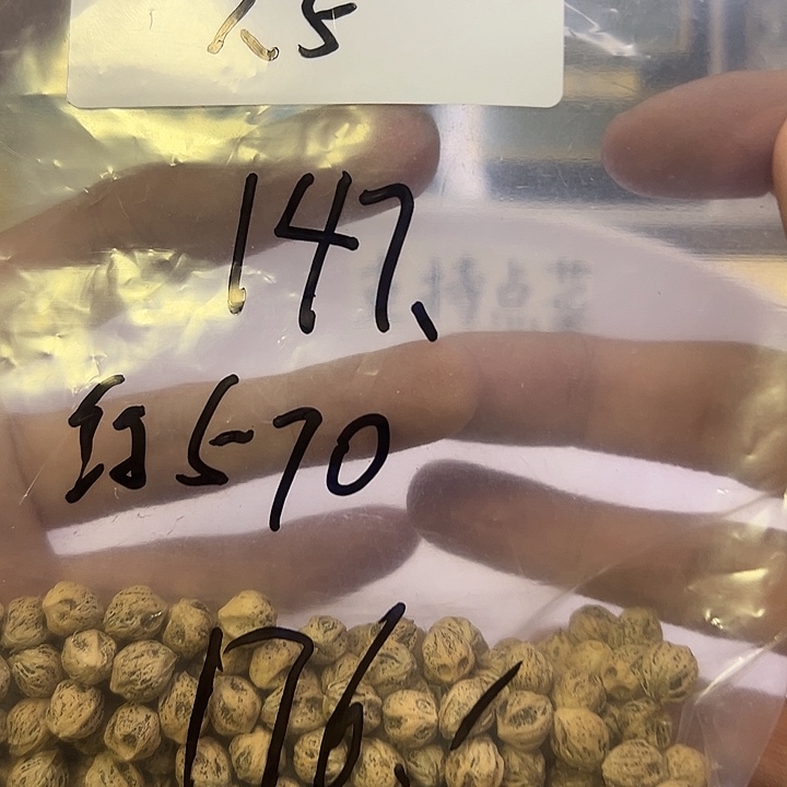 洋***洋柏香籽/百香籽吊坠