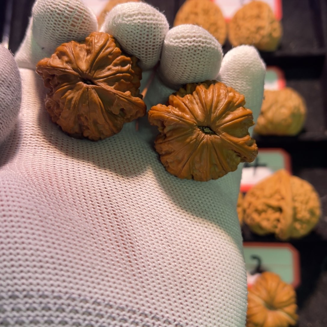 秦皇岛山地果全品38山地磨—01