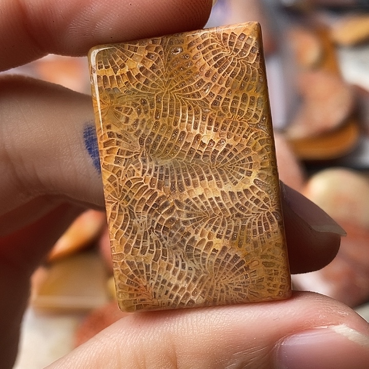 蒜***机硅化玉未镶嵌颈饰