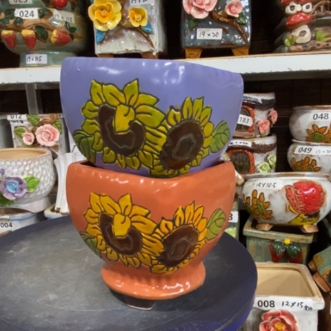 【闪购商品】        