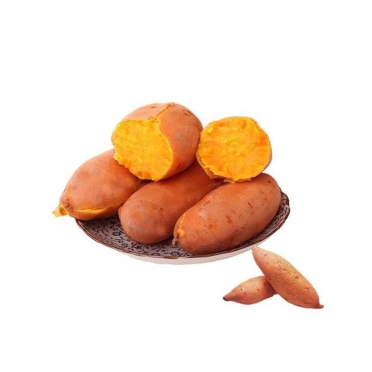 【蜜香金薯5斤一件12根】送货上门蜜薯