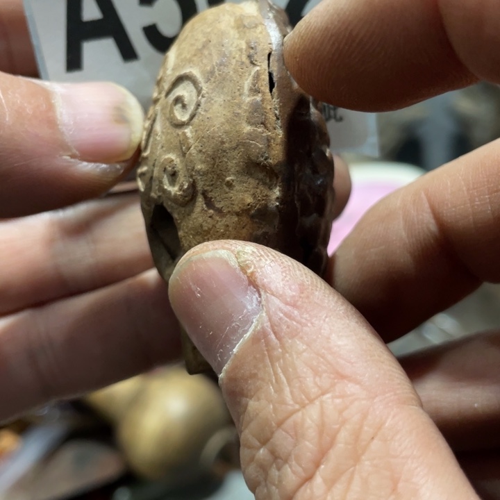 民***卷陶知道啦知道啦知道