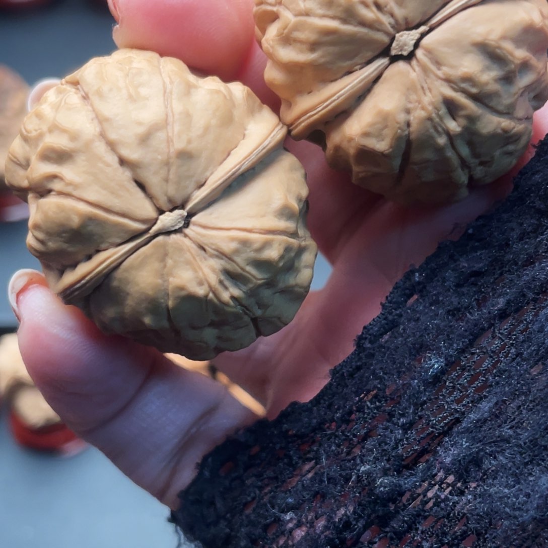 文玩核桃把件缘*疙瘩包福利