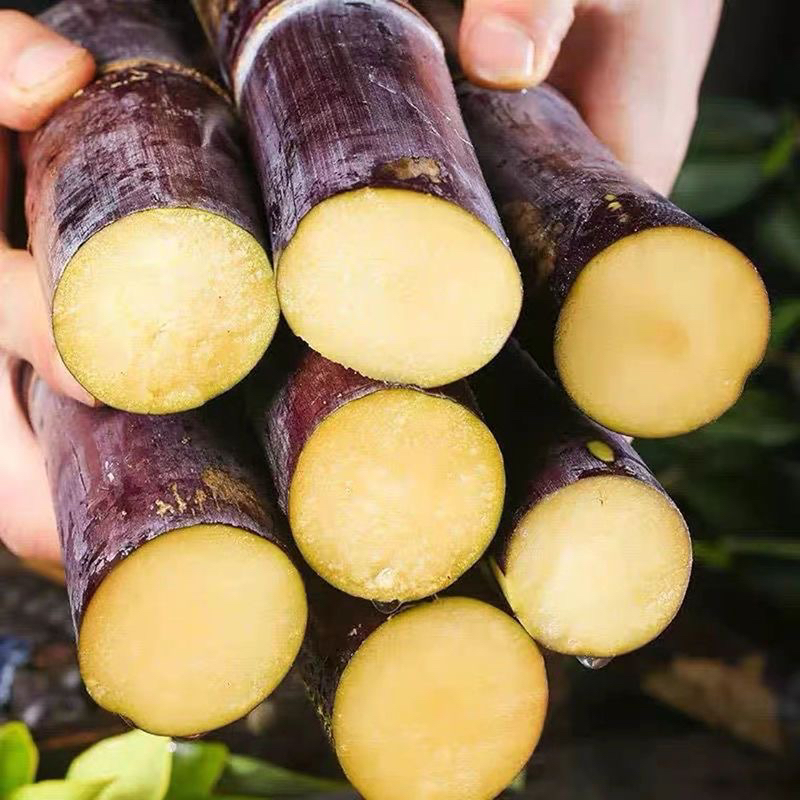 贵州红皮甘蔗当季水果新鲜中断整箱现砍脆甜多汁甜杆果蔗特产包邮