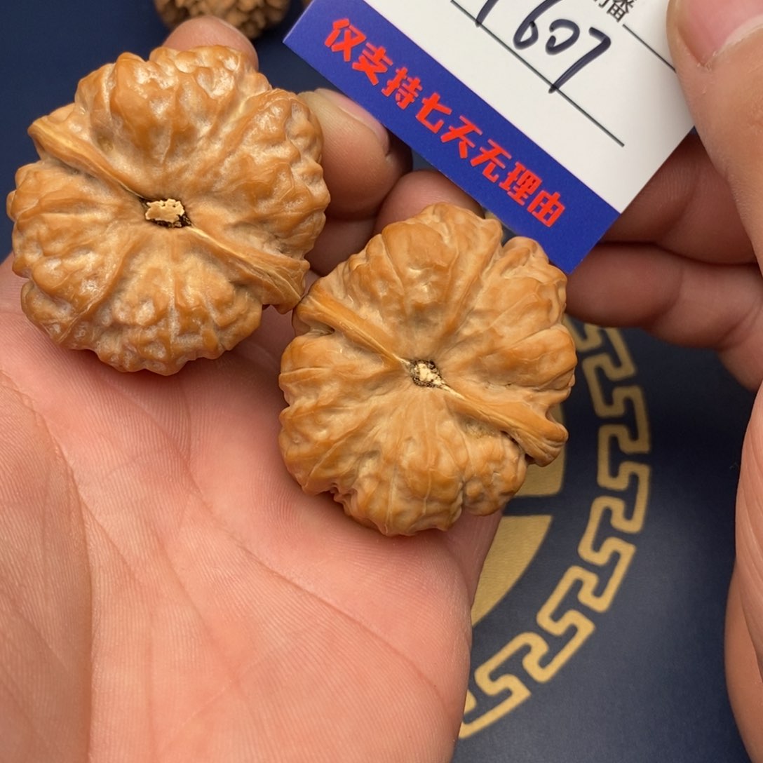 文玩核桃把件41蛤蟆头607