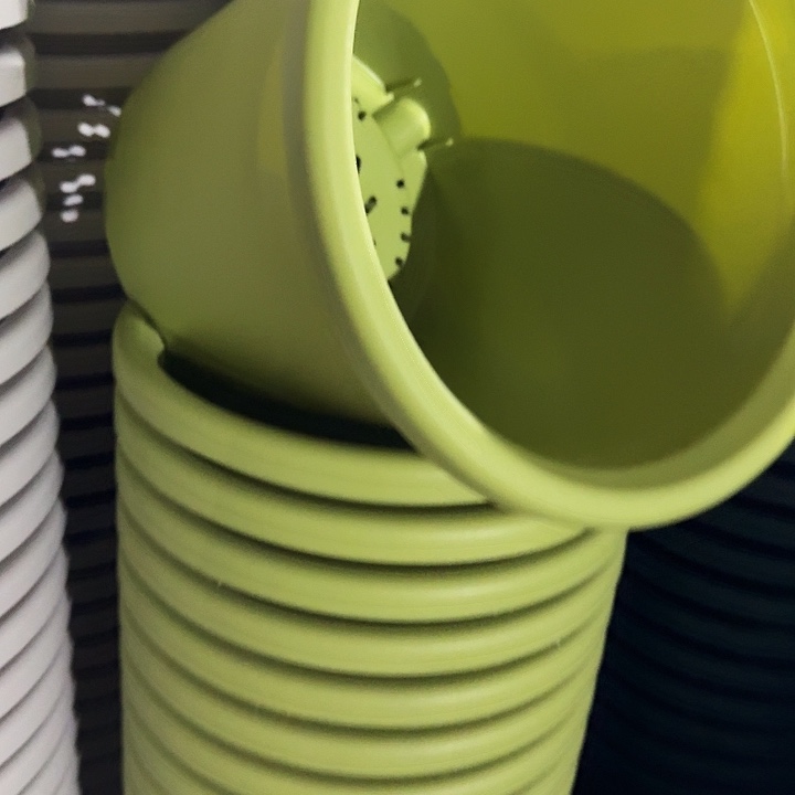 四季7号果绿无托6个特价