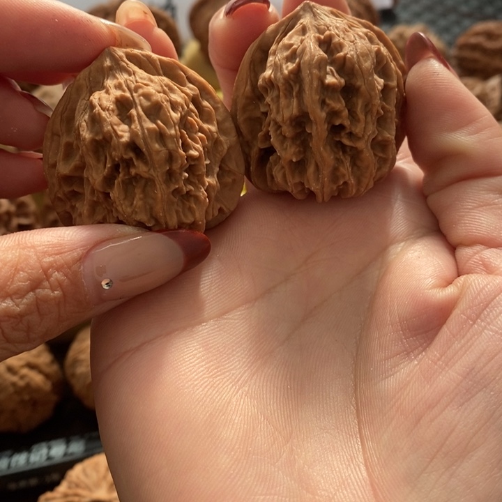 百**客野生无修无修无修无修