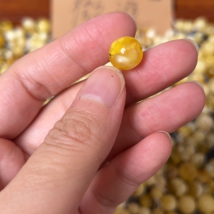 蜜蜡未镶嵌裸石10.5mm一个