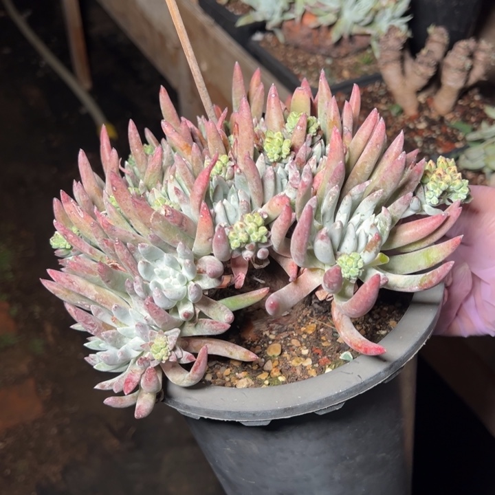 782哈哈哈哈哈哈哈哈哈