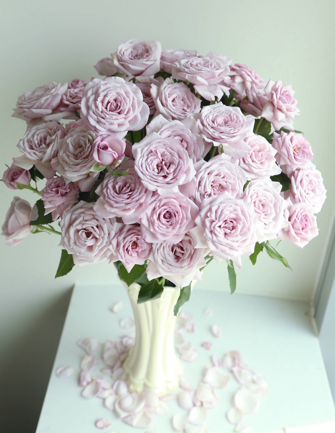 【悠米花】天香公主多头玫瑰10支