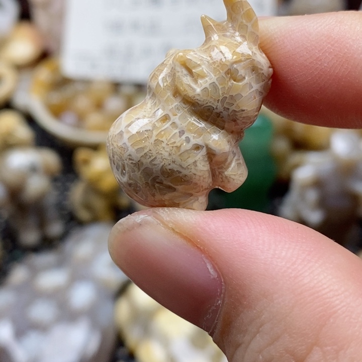 硅化珊瑚（珊瑚玉）颈饰未镶嵌