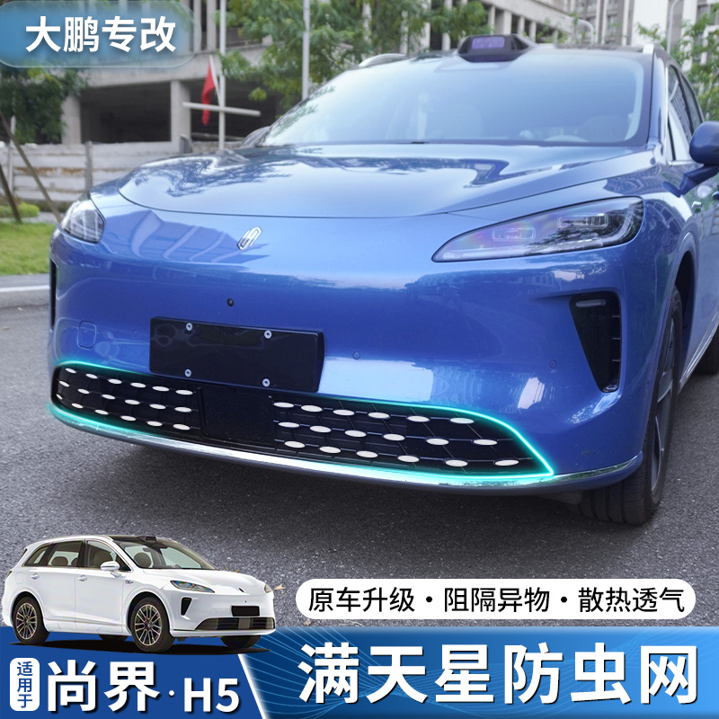 专用于尚界H5满天星防虫网汽车分体式进气口保护罩前中网饰条改装