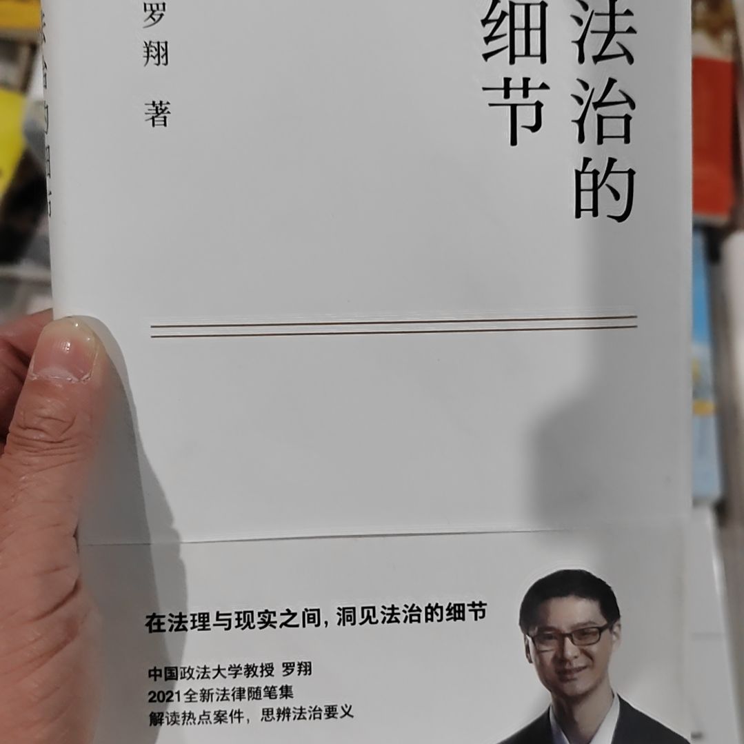 法治的细节罗翔   