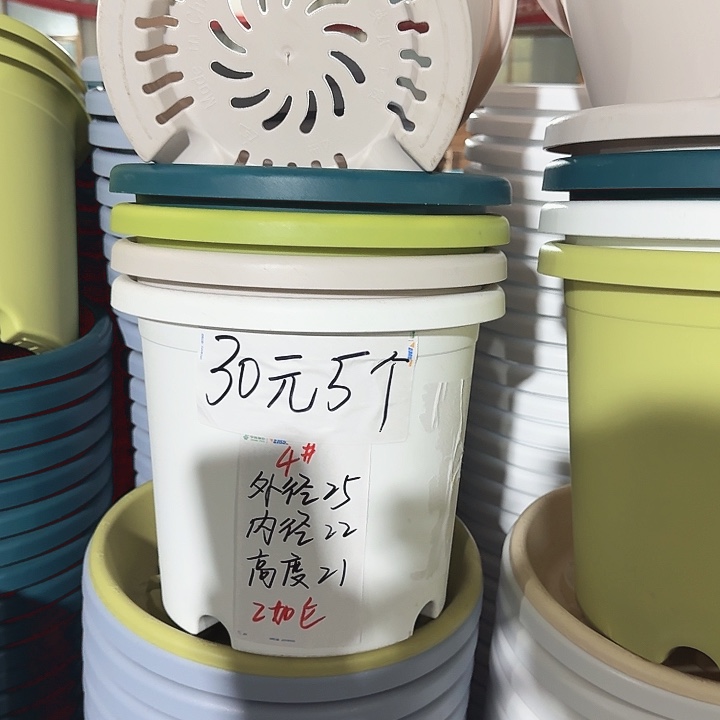 四季4#口径25无托灰白8个