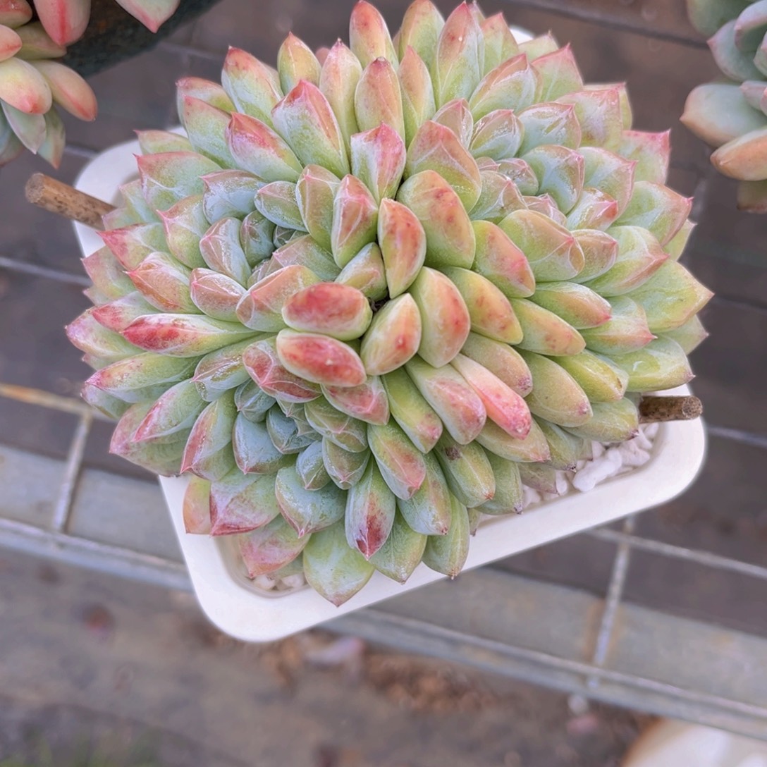 ༺***༻晴晴99999999999999