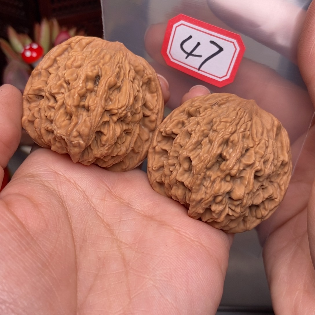 文玩核桃吊坠47号 狮虎兽