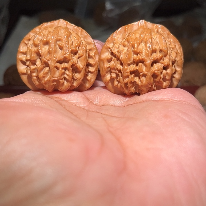 木43全凭宫灯。      