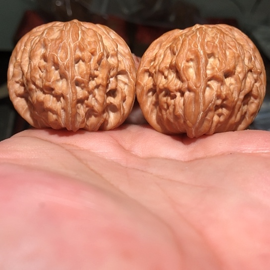 自***6有机玻璃40全品磨盘