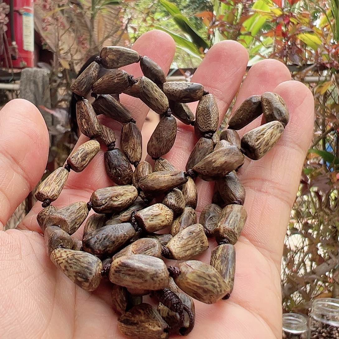 手串沉香沉水张勺子原母树多样性发货一条19
