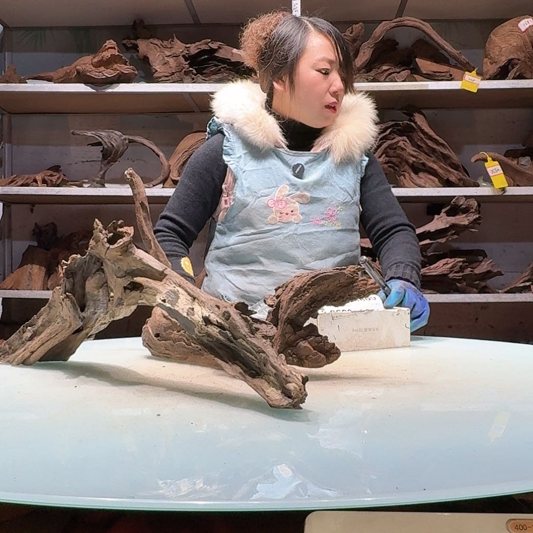 倍诸沉木不包损必褪色毕**马6082-2