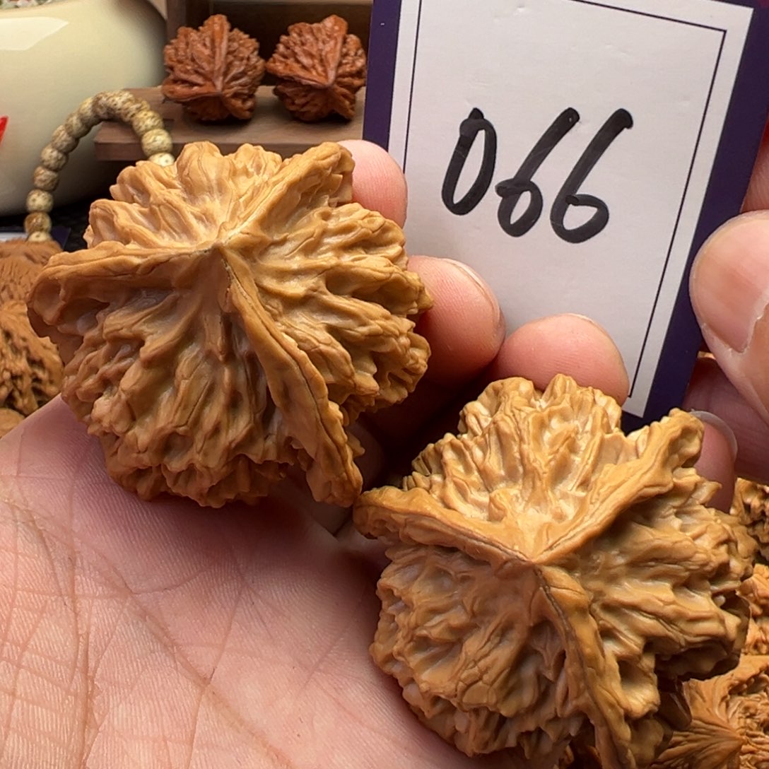 文玩核桃把件全品帝王三棱奔50尺寸066号