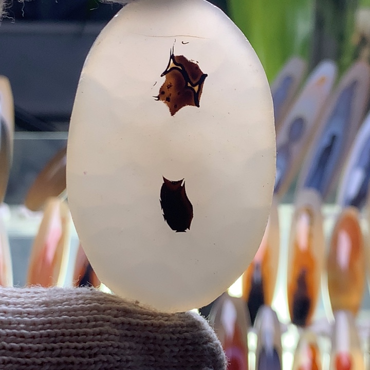 未镶嵌玛瑙/玉髓珠宝半成品171