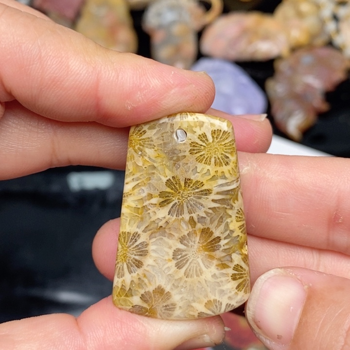 硅化珊瑚（珊瑚玉）手镯未镶嵌