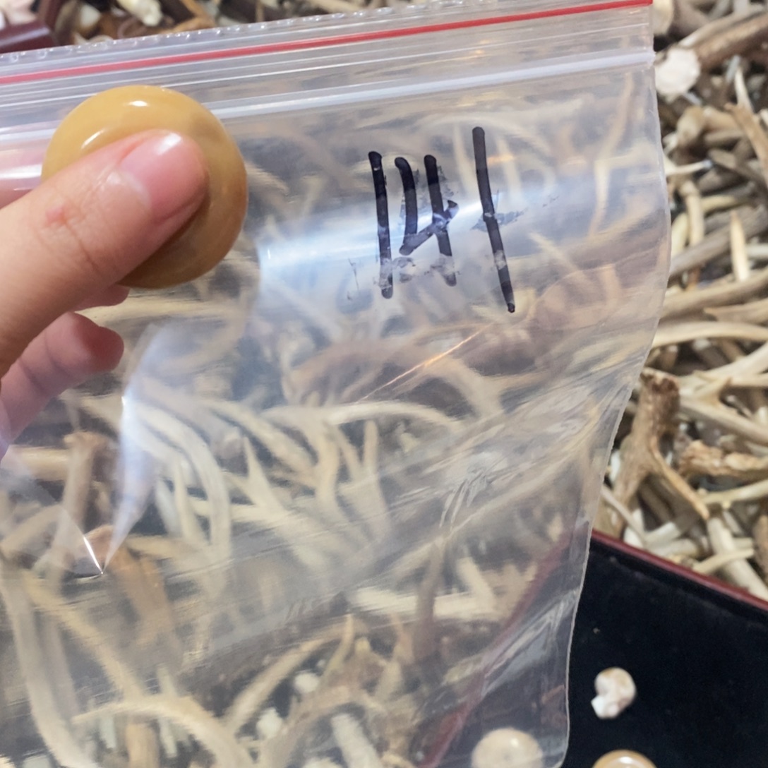 小***莉非金属鹿角鹿角鹿角