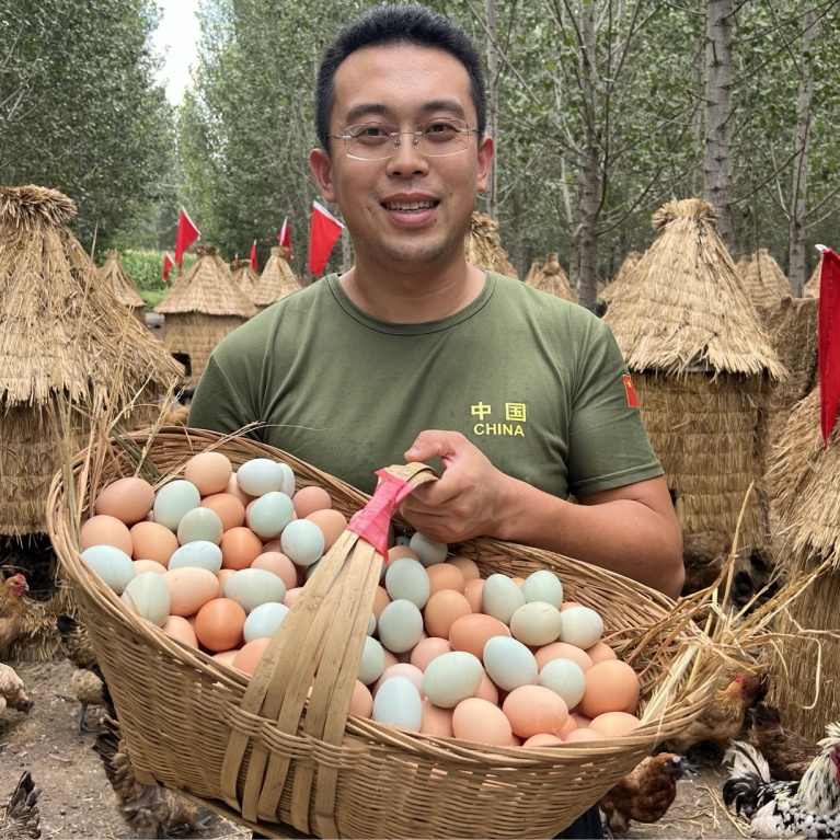 粉绿混发40枚当天现捡现发农村粮食散养土鸡蛋无抗笨鸡蛋溜达蛋