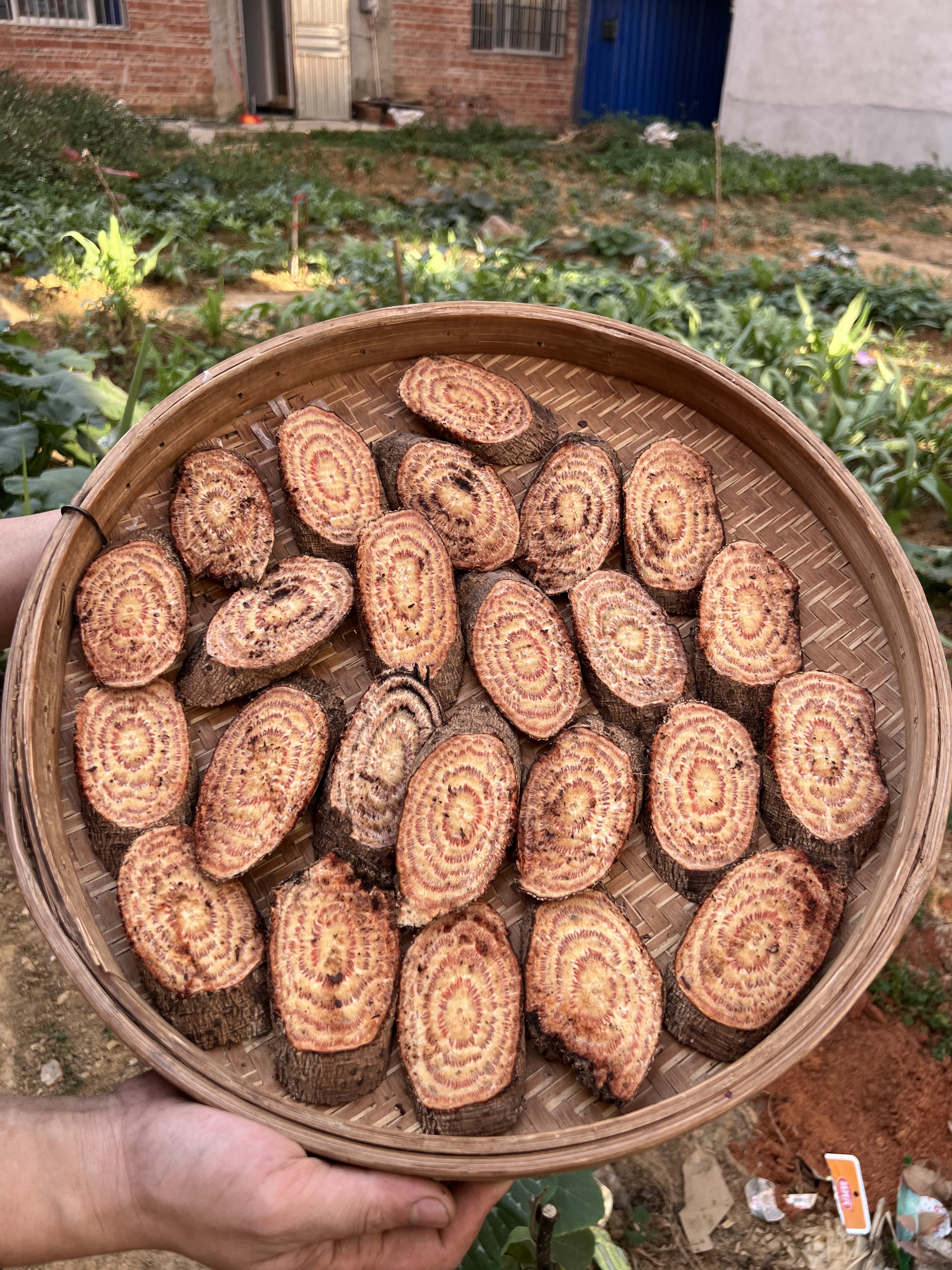 广西正宗野生黑血藤干片