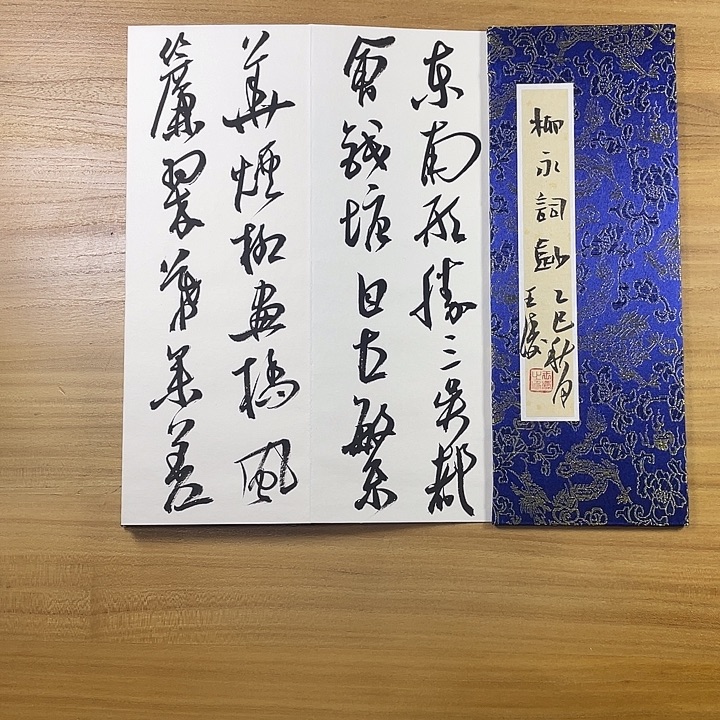 书法中书协会员作品