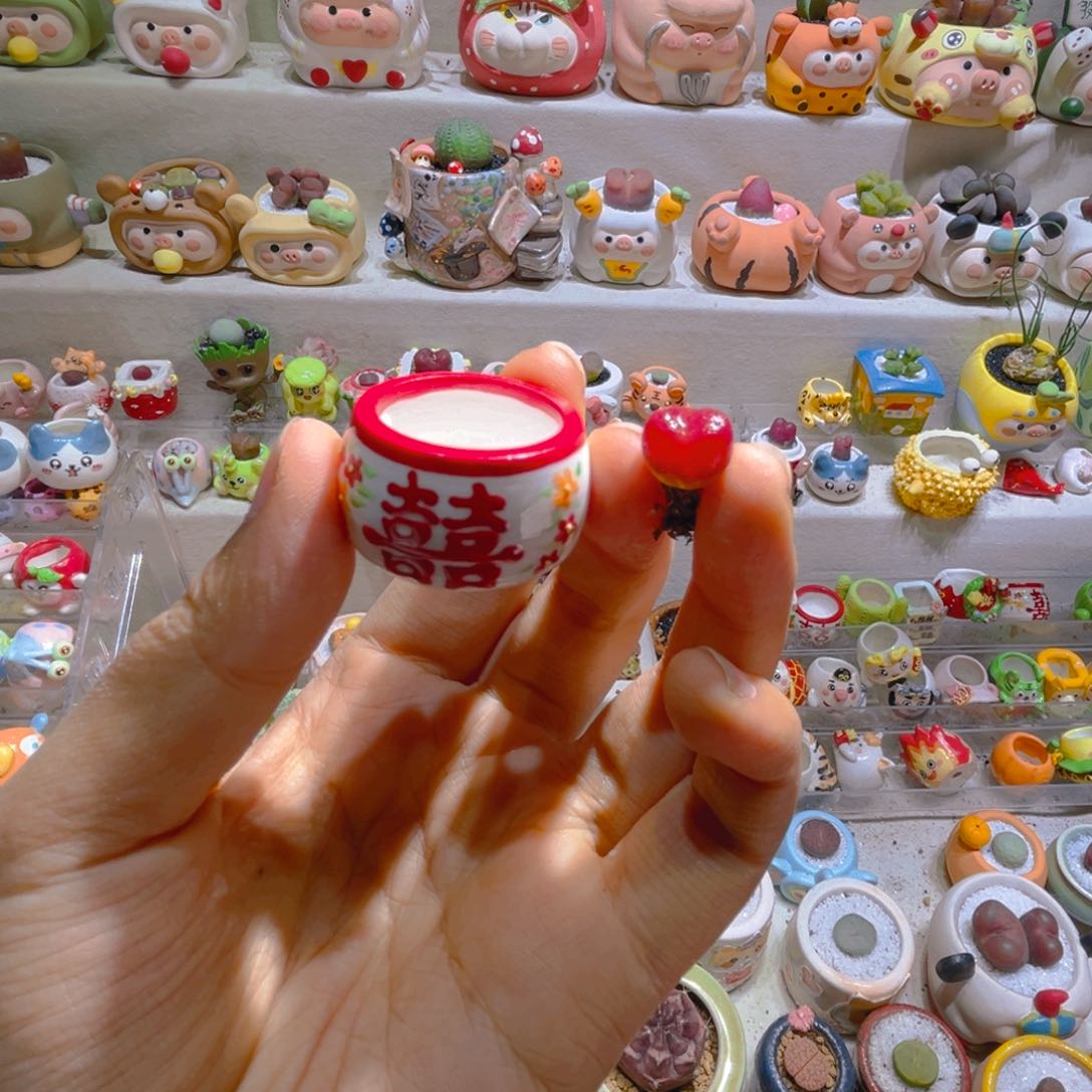 荷**?鱼包专属链接拍拍