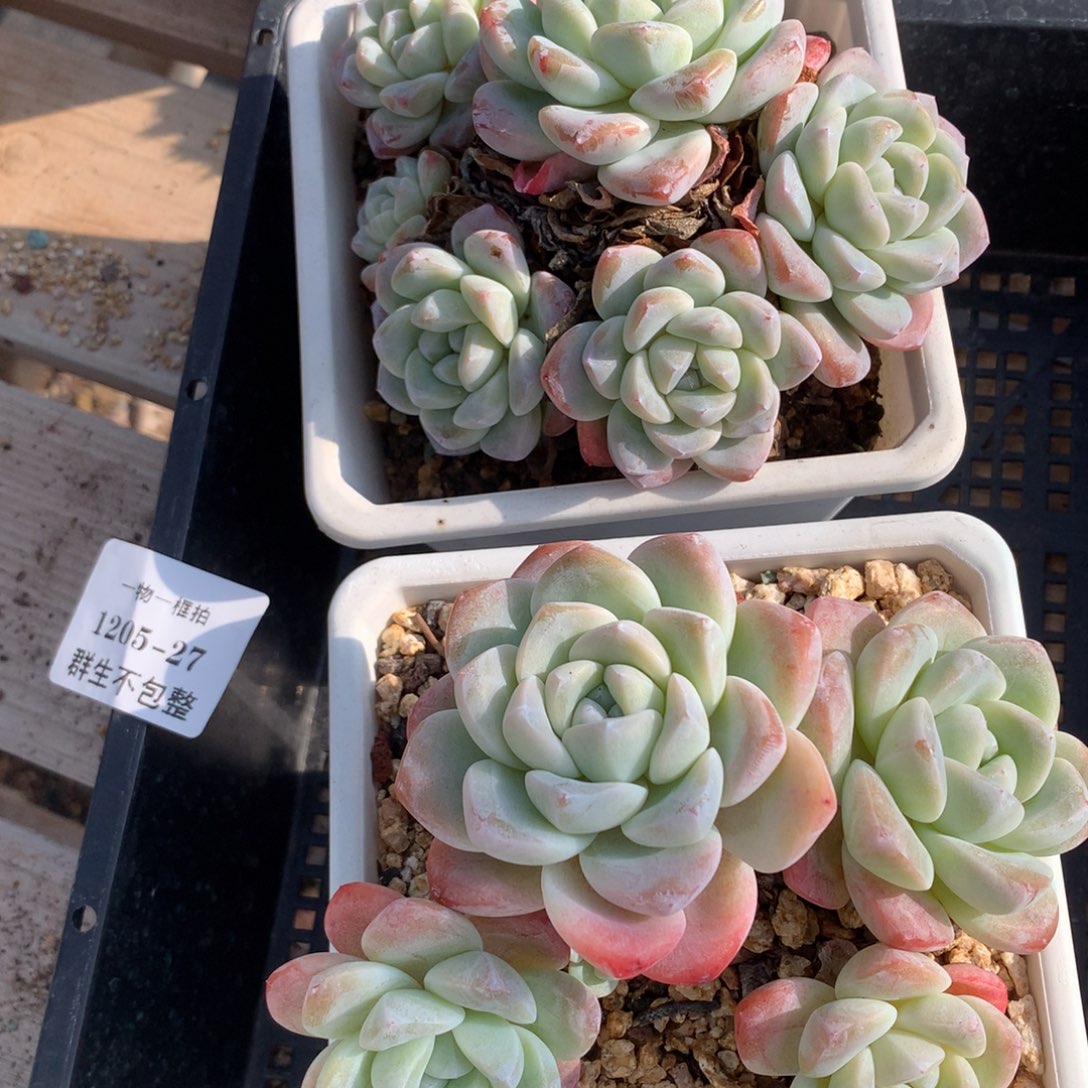 1204-27 套餐一组